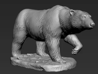 Polar Bear Zbrush Sculpt 3D model