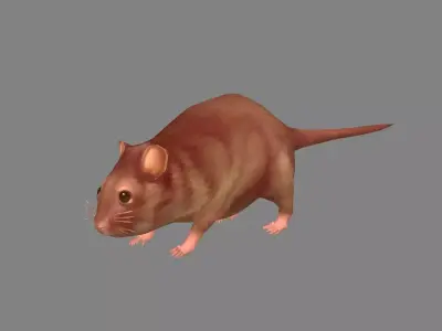 Cartoon mouse Low-poly 3D model 3