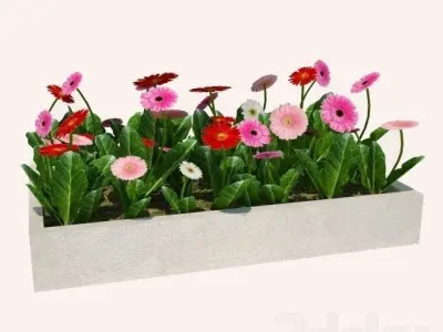 flower planter Free 3D print model