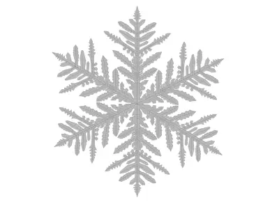 snowflake 3D model