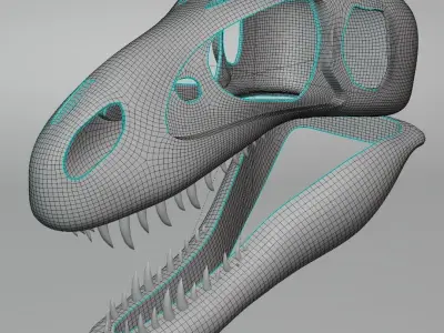 Tyrannosaurus Rex Skull 3D model
