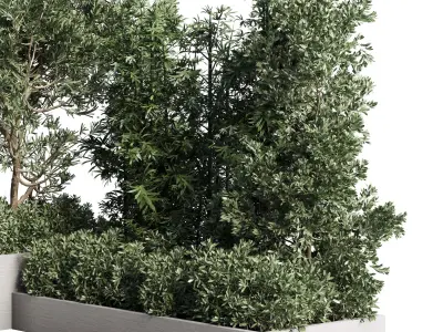 set of plants in concrete box - collection outdoor plant 115 3D model