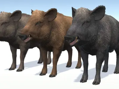 Wild Boar - Female Low-poly 3D model