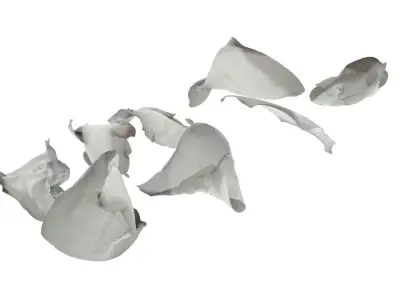 Crumpled Napkins Set 3D model