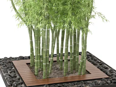 Outdoor Plants Bamboo Set  Garden Set 21  3D model