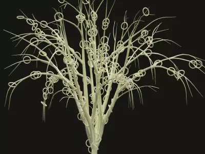 3D ModelsTreesChristmas Trees Game Ready ModelsMid Poly Models Low-poly 3D model