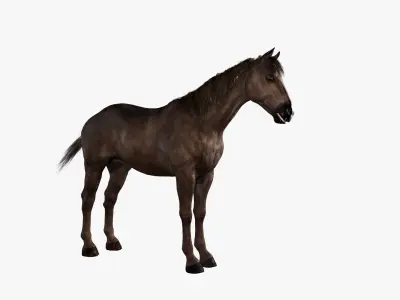 Horse Rigged Low-poly 3D model