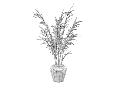 Areca Palm Plant Low-poly 3D model