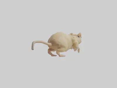 Mongolian Gerbil running model 3D model