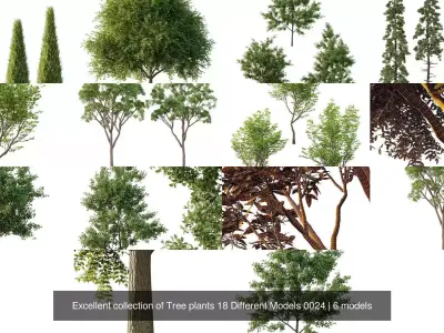 Excellent collection of Tree plants 18 Different Models 0024