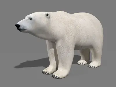 Polar Bear PRO 3D model
