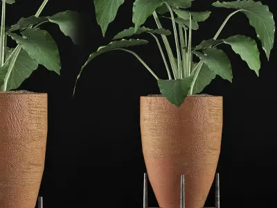 Plants Collection 50 3D model