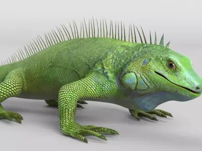 Iguana 3D model