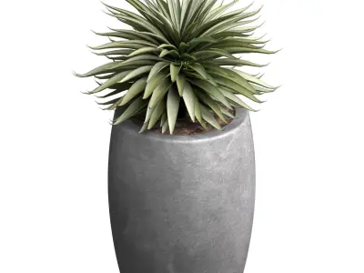 Decorative Outdoor Porch Front Entrance Tree  3D model