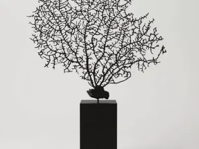 Black Gorgonaria Decoration 3D model