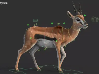 Gazelle 2 FUR Rigged 3D model