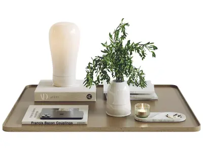 Decorative set shuba 3D model