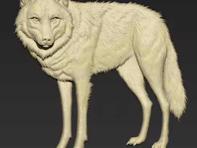 Wolf A107 3D print model
