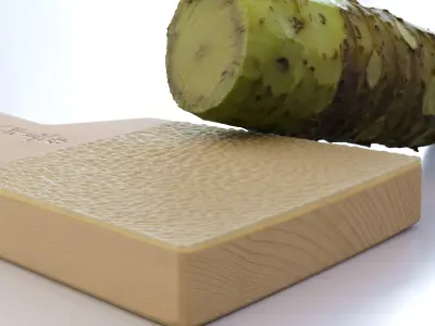 Sharkskin Wasabi Grater Set - Japanese horseradish Low-poly 3D model