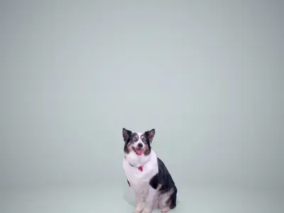 Sitting Dog Dog0003-HD2-P01-S 3D model