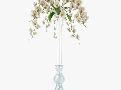 Orchid Flowers in Vase 3D Model 3D model