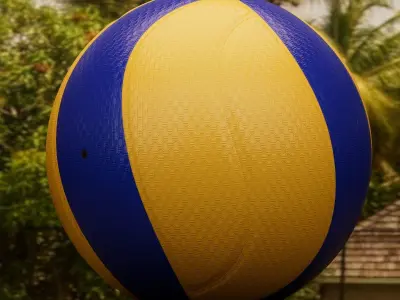 Volleyball Free 3D model