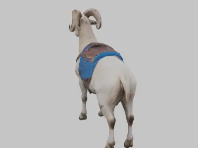 Ram Goat Animal Low-poly 3D model