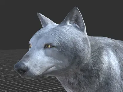 WOLF FAMILY short Low-poly 3D model