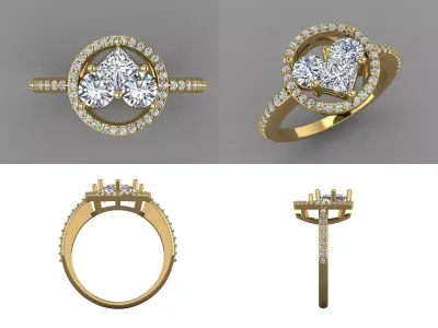 Ring bi160 3D print model