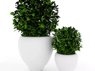 Plants modern 3d 3D model Free 3D model