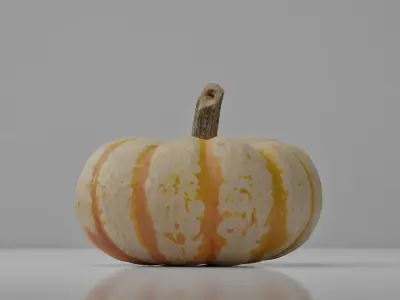 Photoreal Decorative Pumpkin Scan 01 3D model