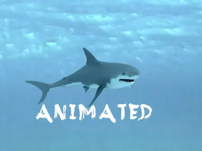 Shark Animated Low-poly 3D model
