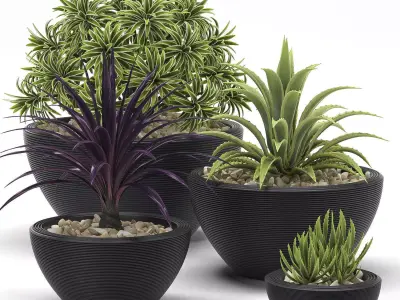 plants set 2 group of pots 3D model