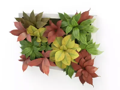 Plants Frame 50 X 40 Cms 3D model