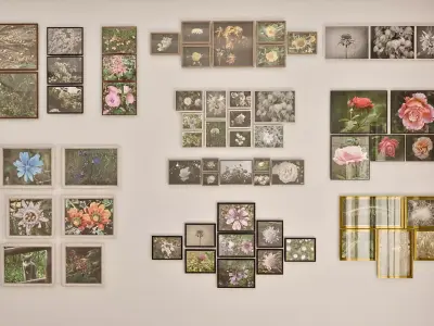 3D Framed Botanical Wall Art Scene 3D model