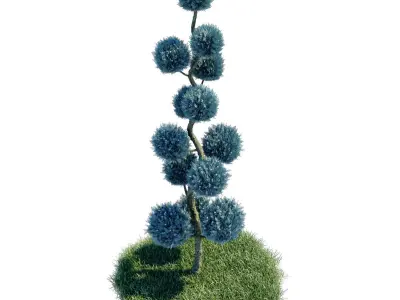 Cypress - Cupressus Arizonica Spiral Pom Pom 3D model