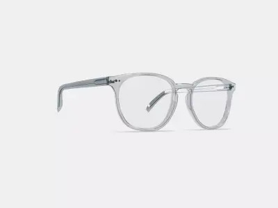 Carlton Eyeglasses in Crystal 3D model
