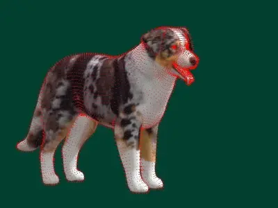 Australian Shepherd Dog Low-poly 3D model