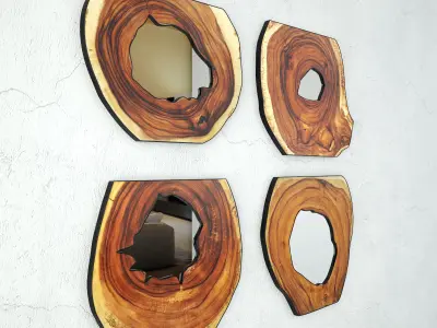 Organic Monkey Pod Mirrors 2 3D model