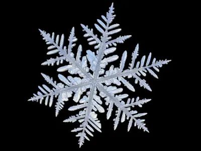 snow flake  3D model