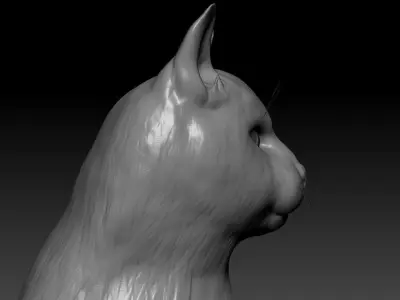 Cat head 3D model