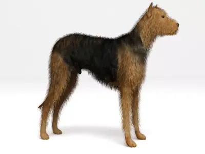 Street Dog 3D model