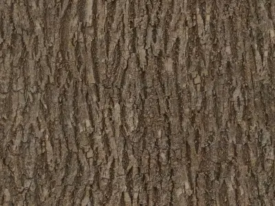 Forest House 3D model