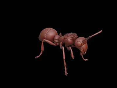 Ant Animal Sculpture 3D print model buy