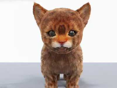 Fur Cute Cat kitten 03 No Rig 3D model