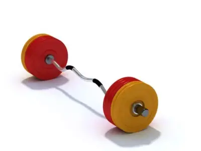 Stainless Steel Barbell Weight Plates 3D model