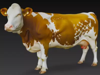 Guernsey Cow 3d Model Low-poly 3D model