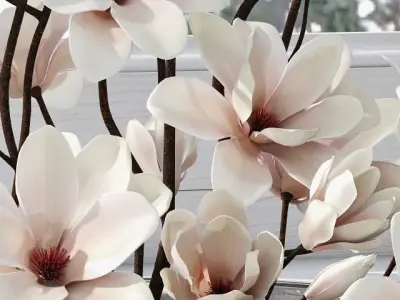 Magnolia arrangement 3D model