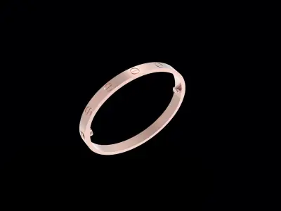 Screw Bracelet 170mm 3D print model