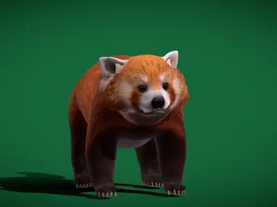 Red Pandas Mammal 3D model
